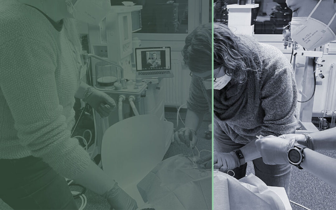 Anaesthesia & Pain Management I