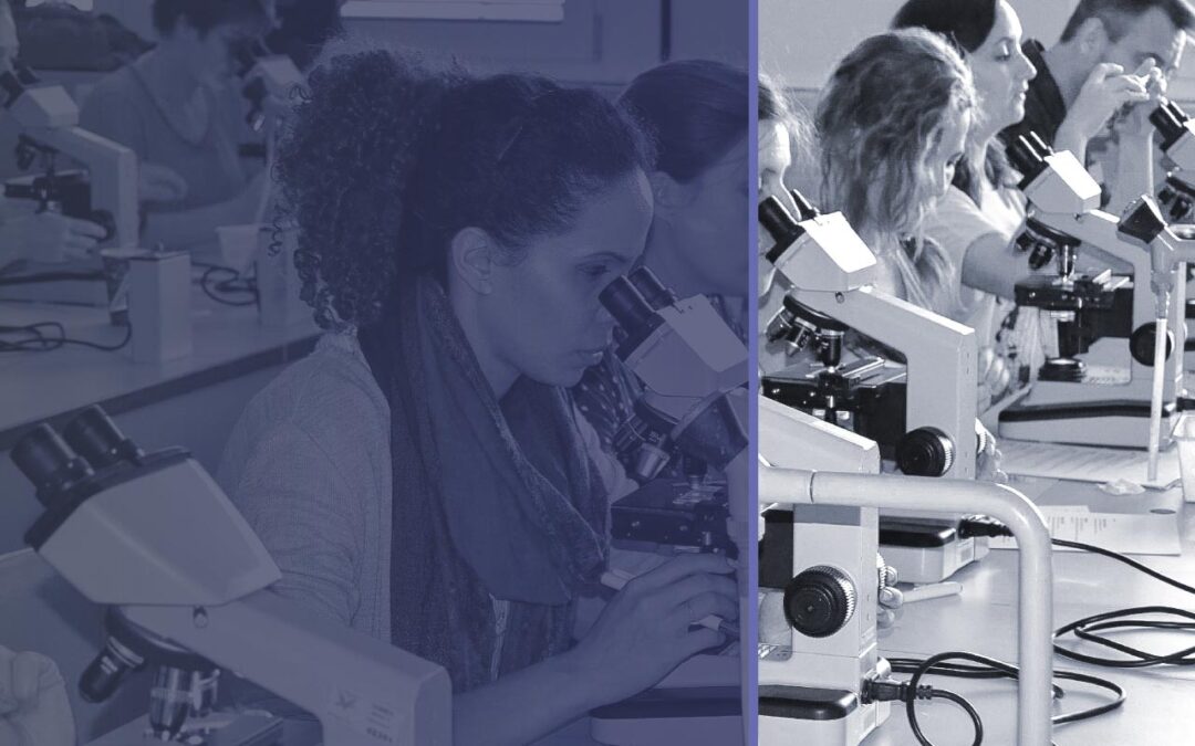 Focus On – Dermatology