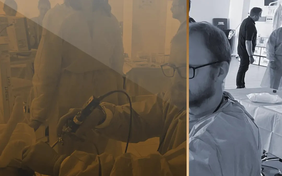 Internal Medicine: Endoscopy Course Using Natural Orifices