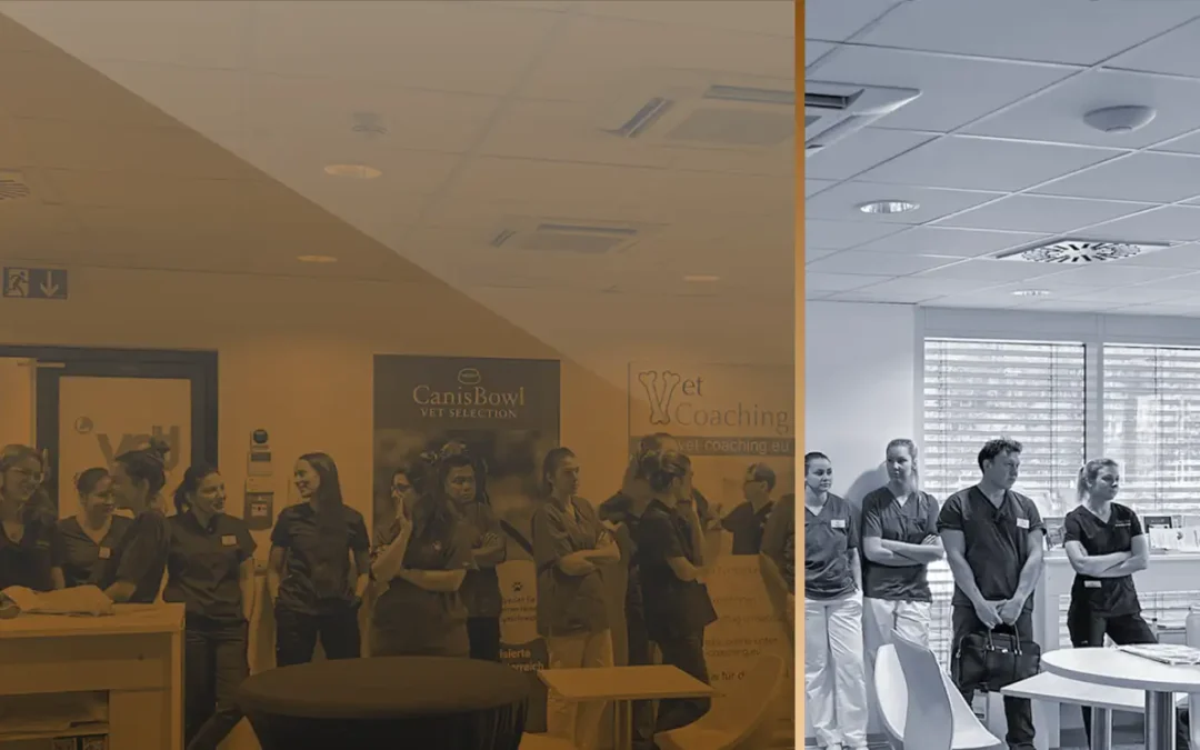 Internal Medicine: Nephrology & Endocrinology