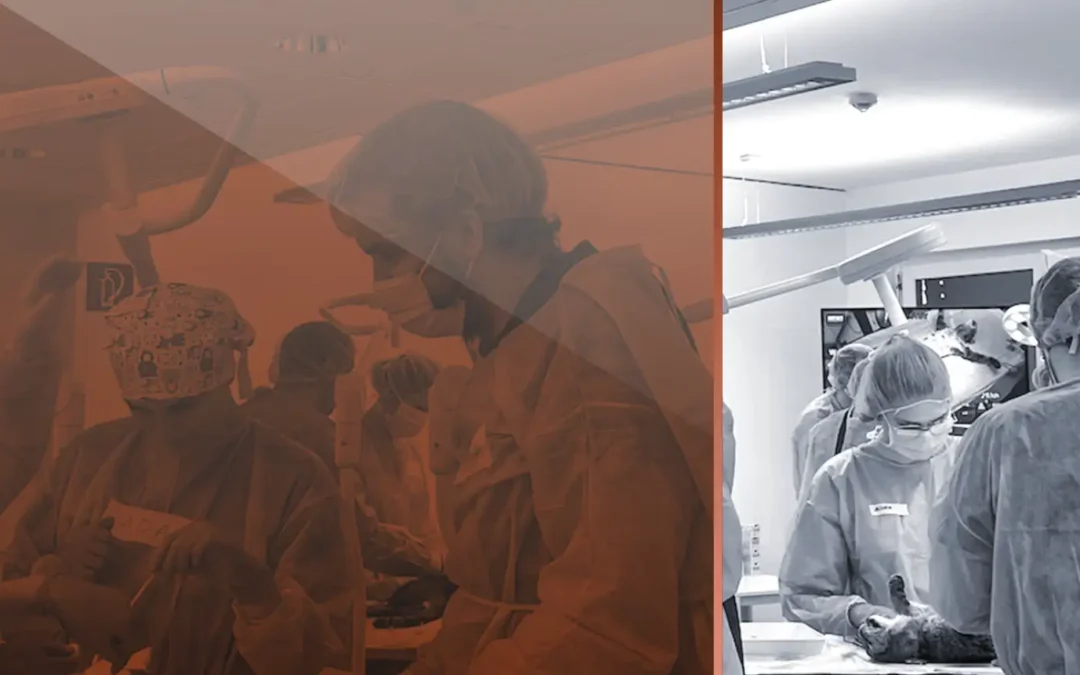 Soft Tissue Surgery I