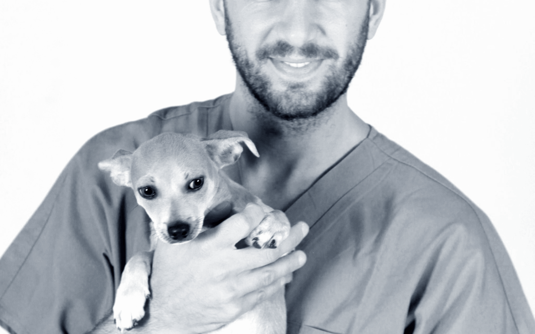 Dr. Federico Massari