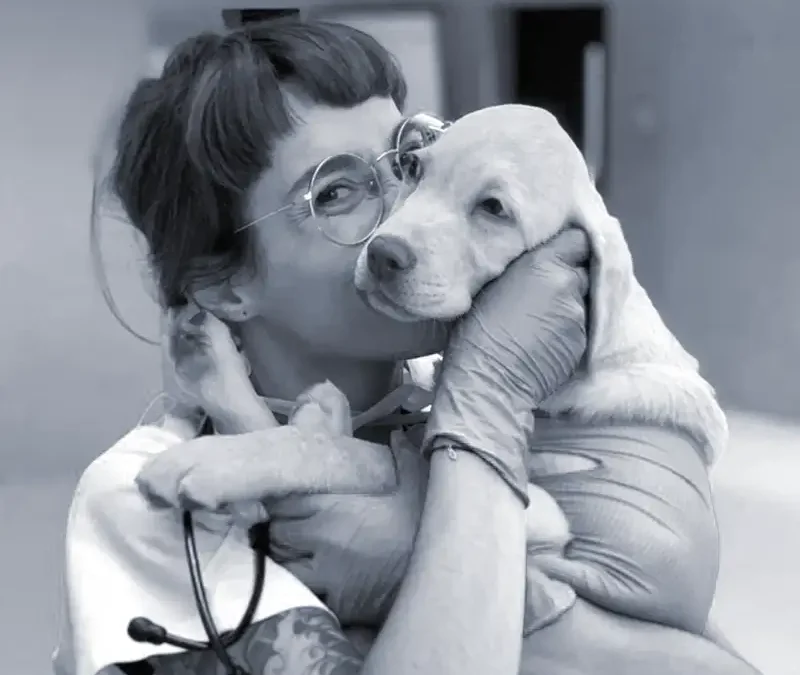 Dr. med. vet. Claudia Iannucci