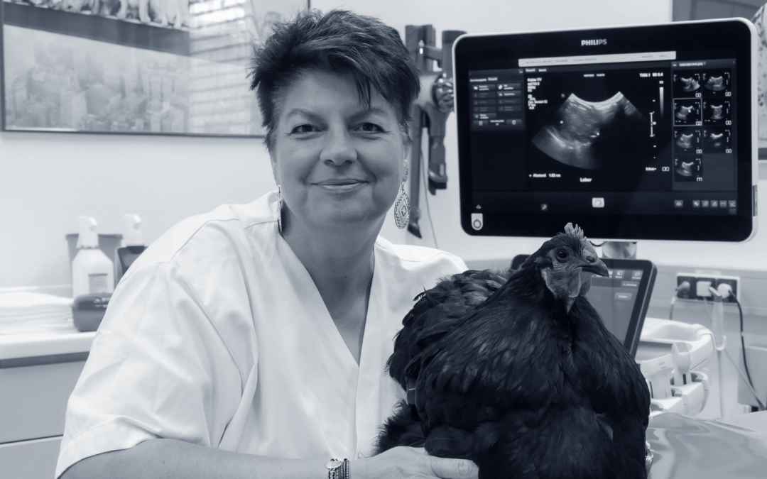 Ass. Prof. Dr. med. vet. Michaela Gumpenberger