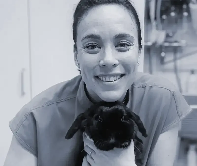 Laëtitia Volait-Rosset