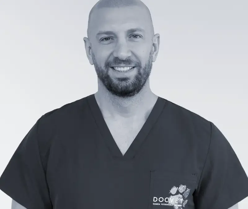 Dr. Federico Massari (IT)